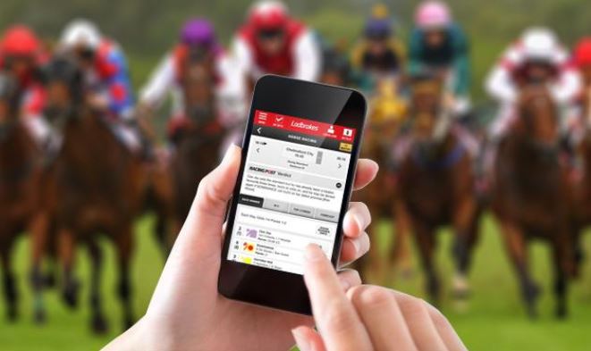 A Guide to Online Horse Betting